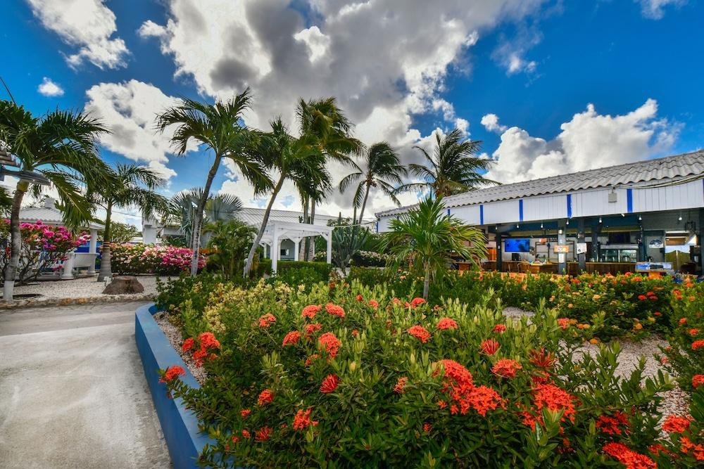 Aruba Blue Village Hotel And Apartments Palm Beach Exteriér fotografie